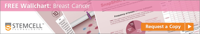 Request a Copy: Breast Cancer Wallchart